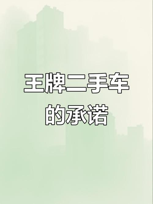 王牌二手车免广仲夏版