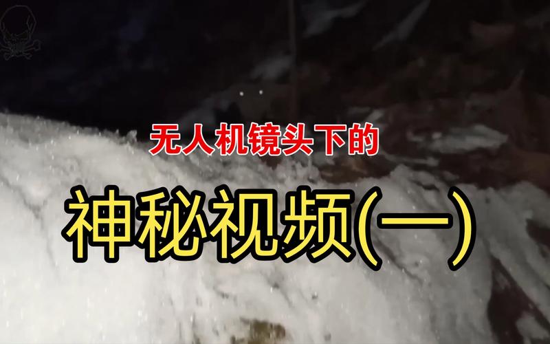 神秘短视频红包版