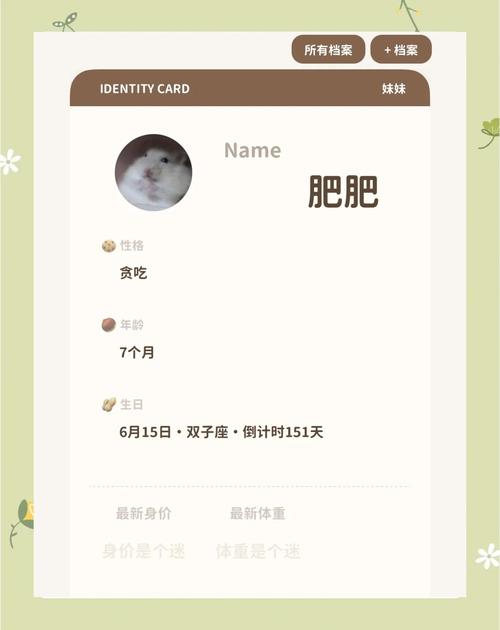 胖崽库