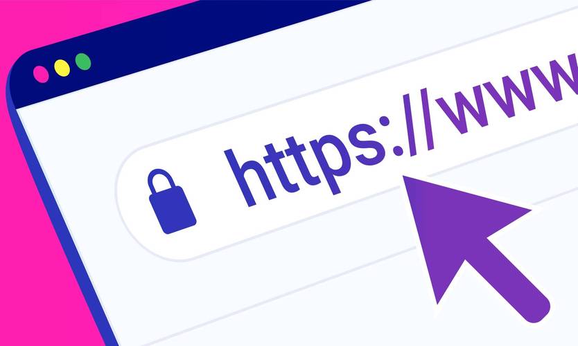 https平台全免版
