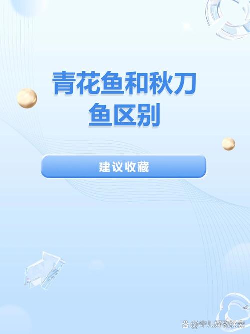 青花鱼论坛旧站