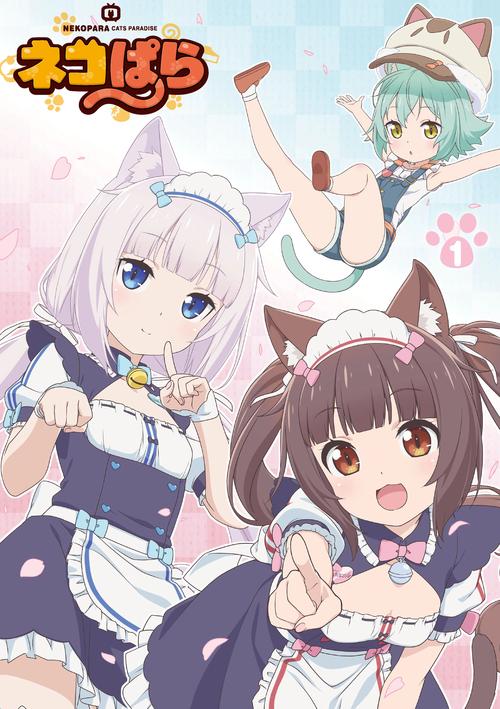 猫娘乐园来店