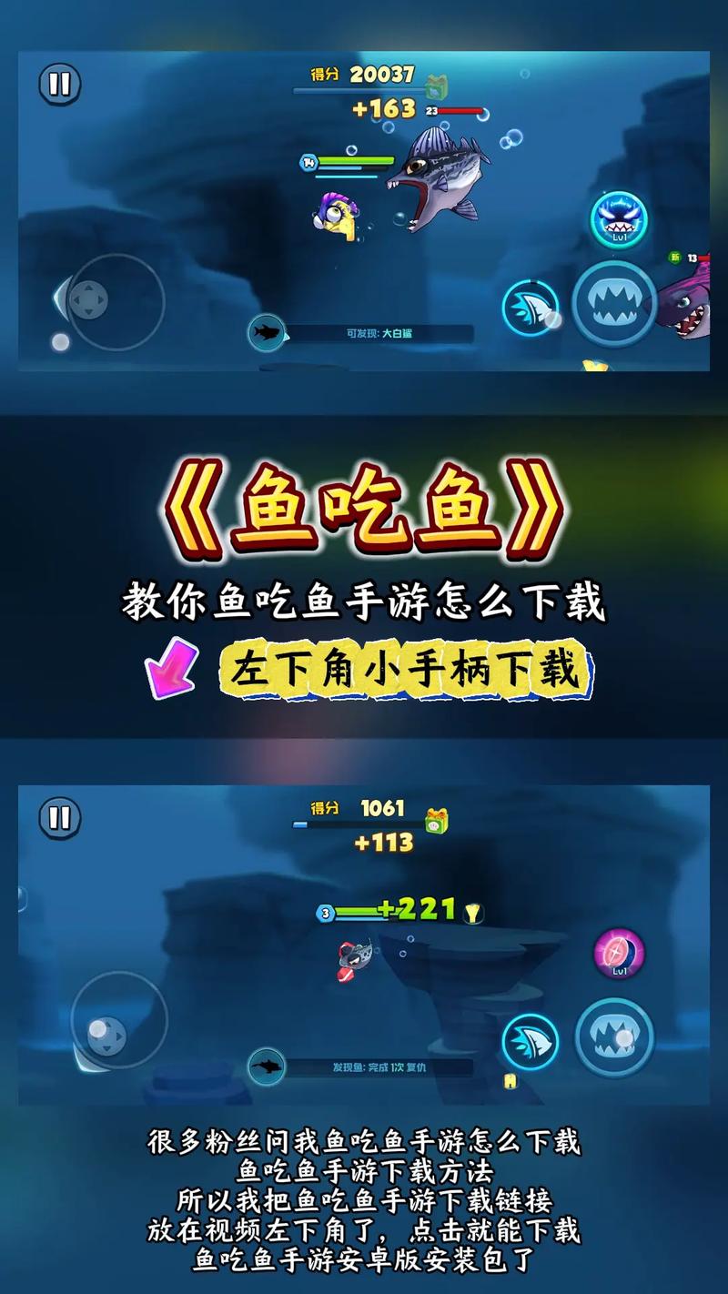 小鱼短视频