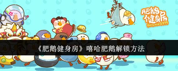 肥鹅健身房破解安装版