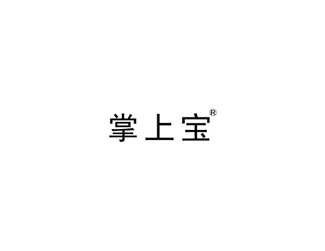掌上宝app官