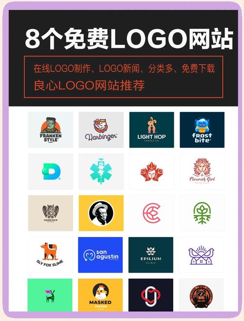分享合集每天更新