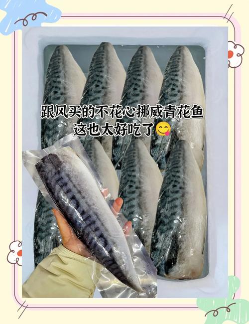 青花鱼养殖交流app