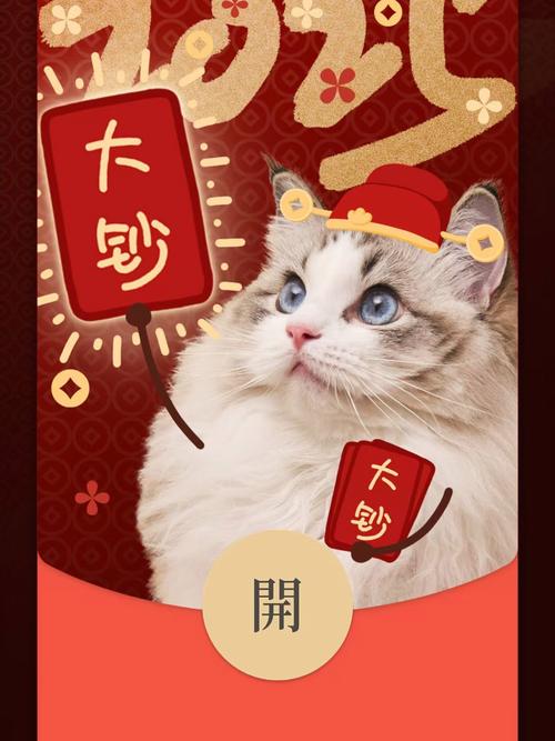 红包猫中文字幕