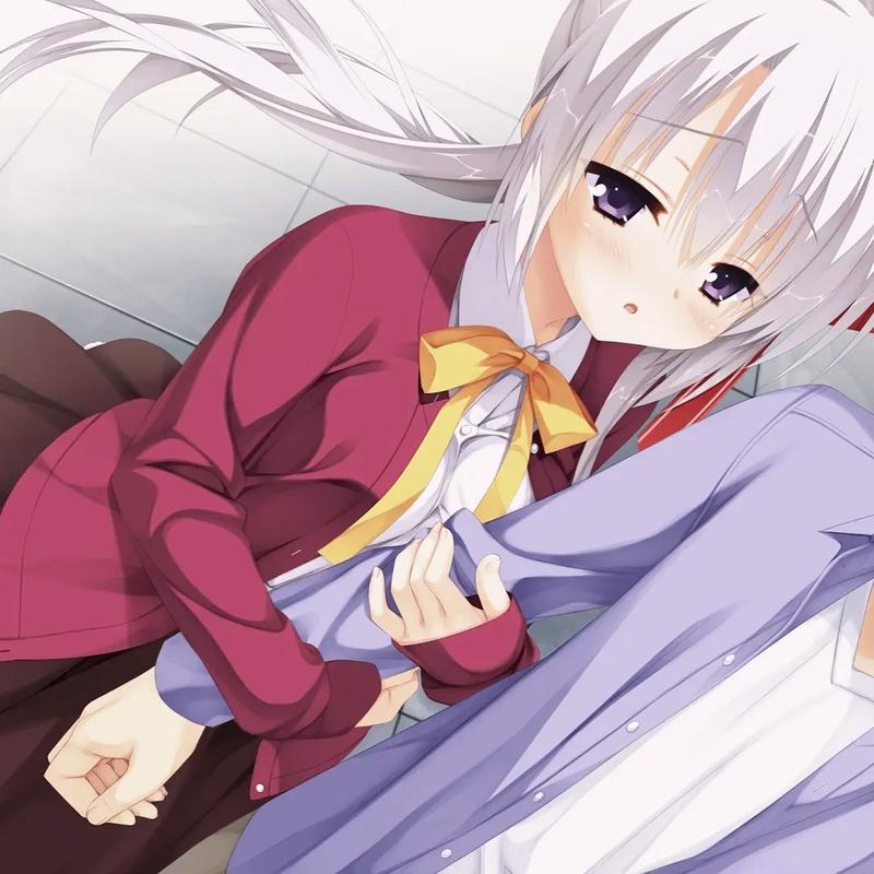 魔女的夜宴kr