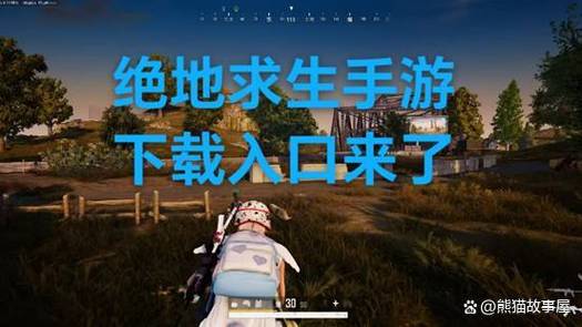 pubgtool官方