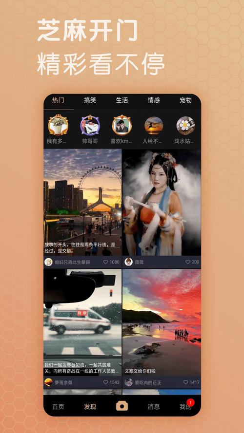 芝麻视频app