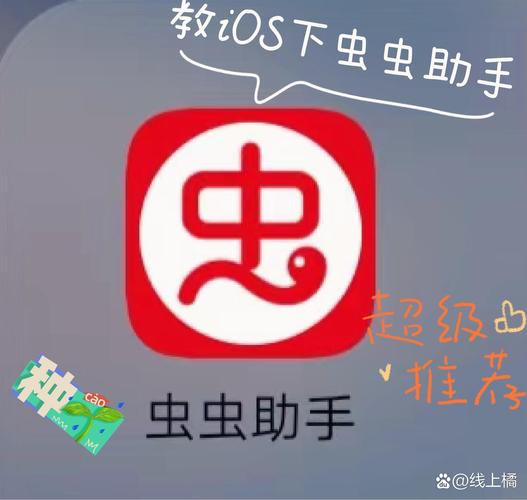 虫虫