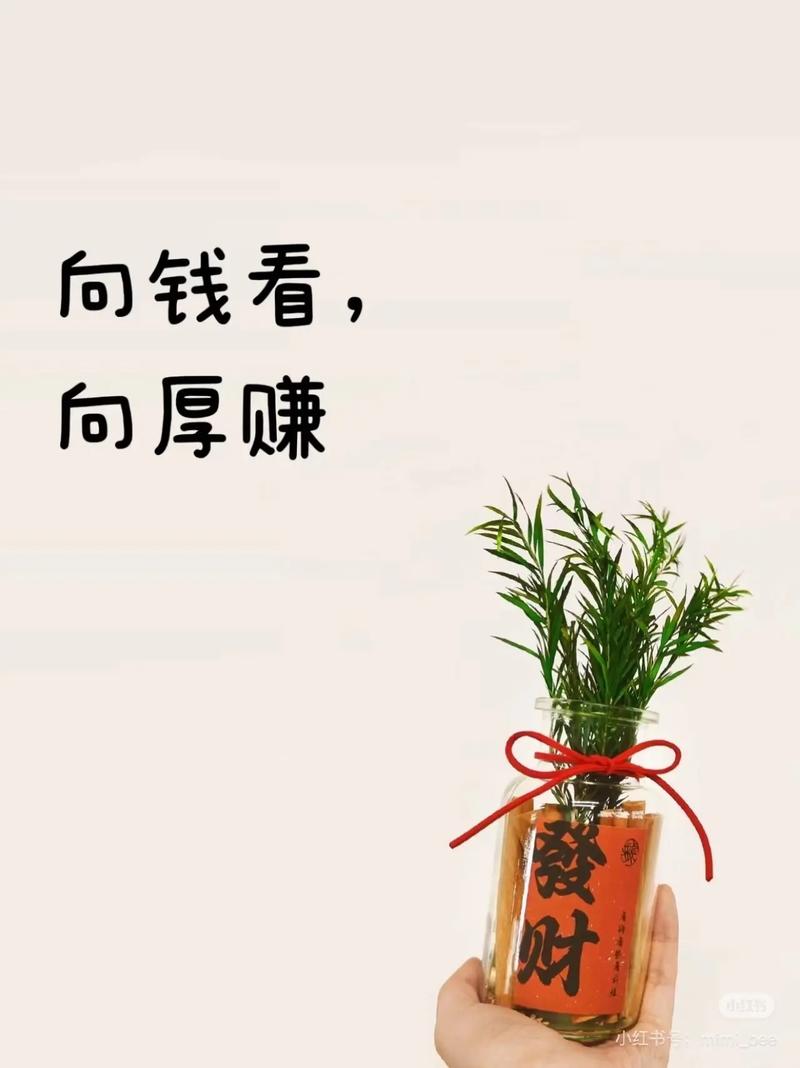 向厚赚专业版