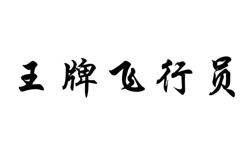王牌飞行员新版