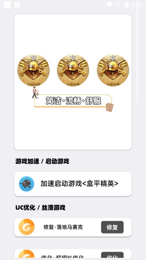 画质大师