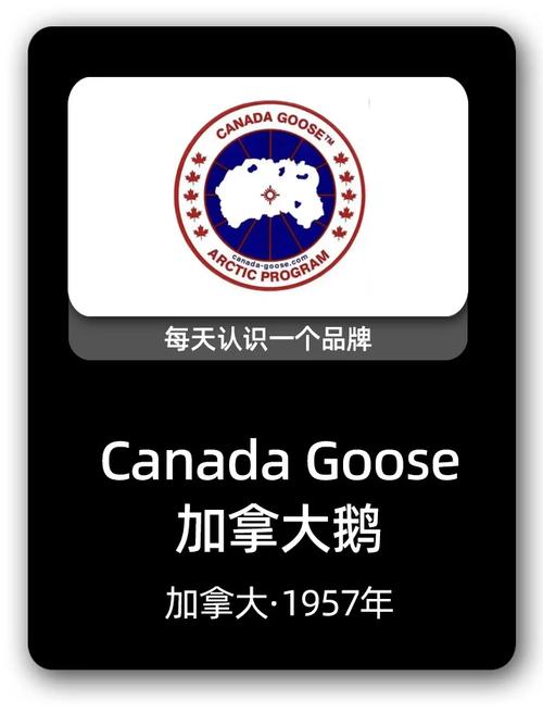 大鹅官方正版下载最新版