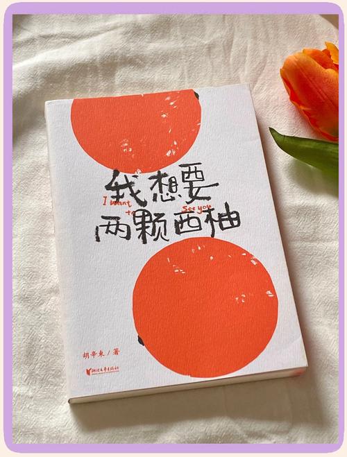 西柚小说手机版