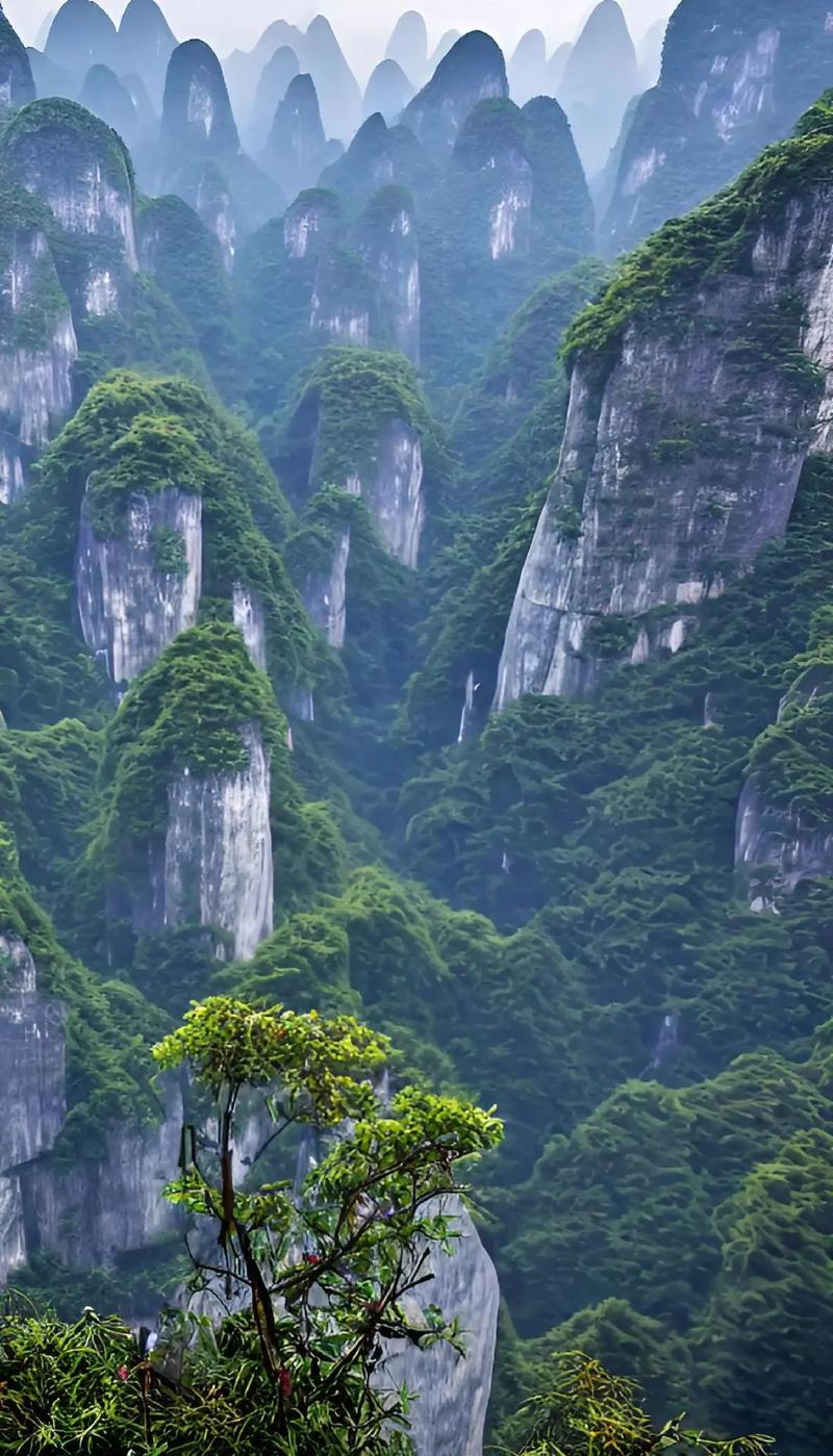 青山在线阅读