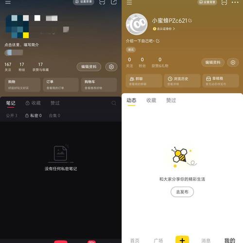 小蜜蜂直播