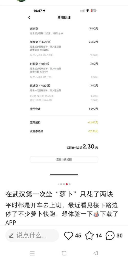 萝卜
