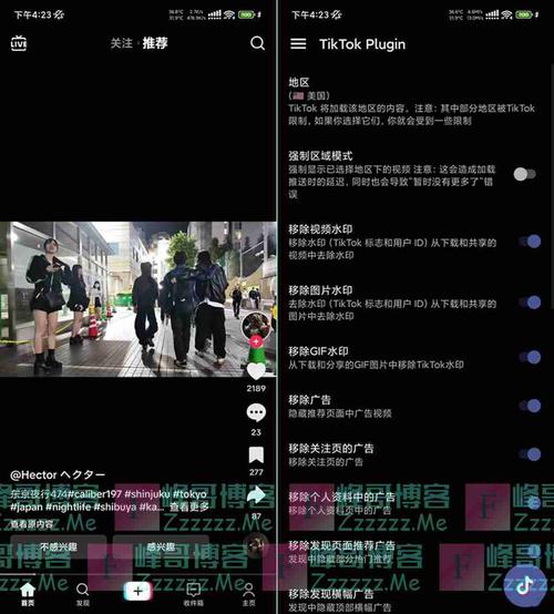 日本抖音tiktok内置会员