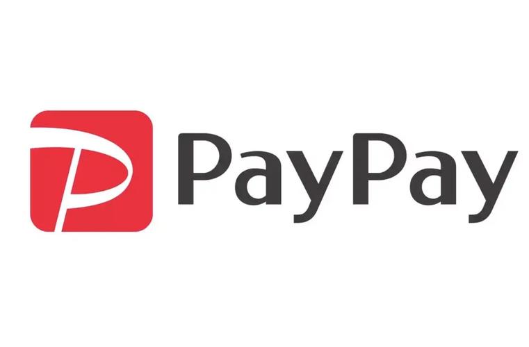 pay离线版