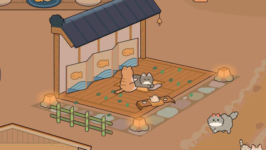 猫咪