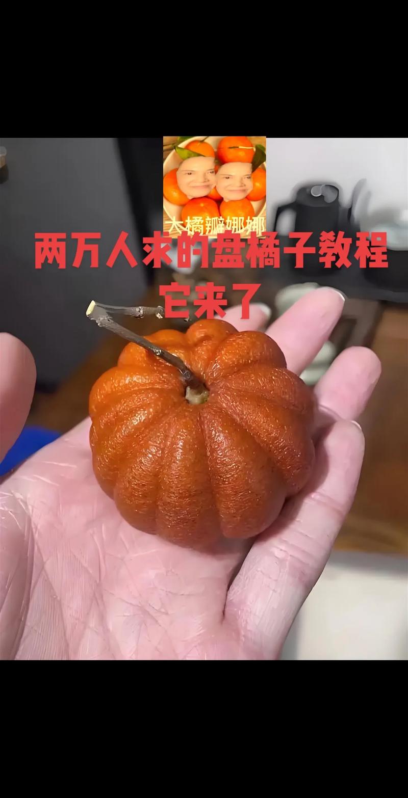 橘子盘搜