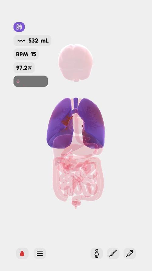 生命life安卓版中文
