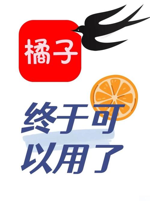 橘子视频免费追剧