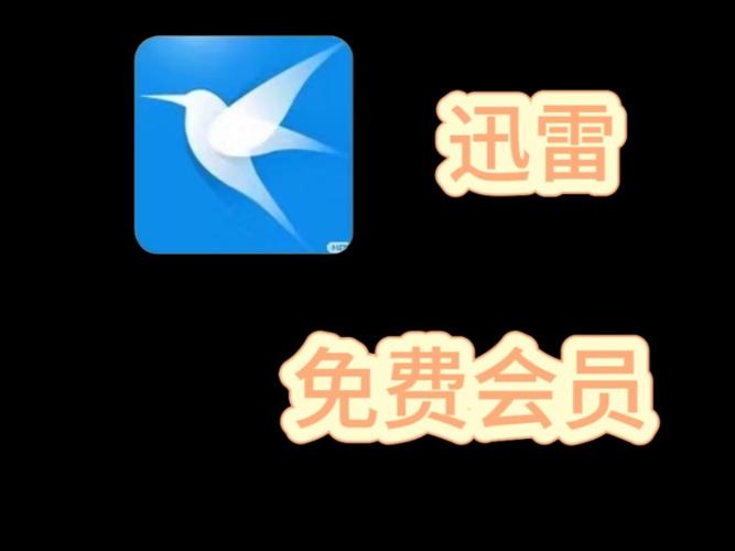 迅雷解锁VIP不限速安卓版2025无限次