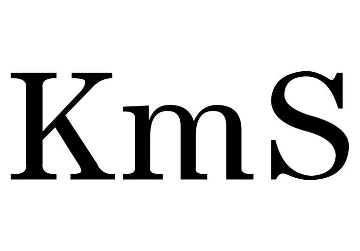 kms不闪退版