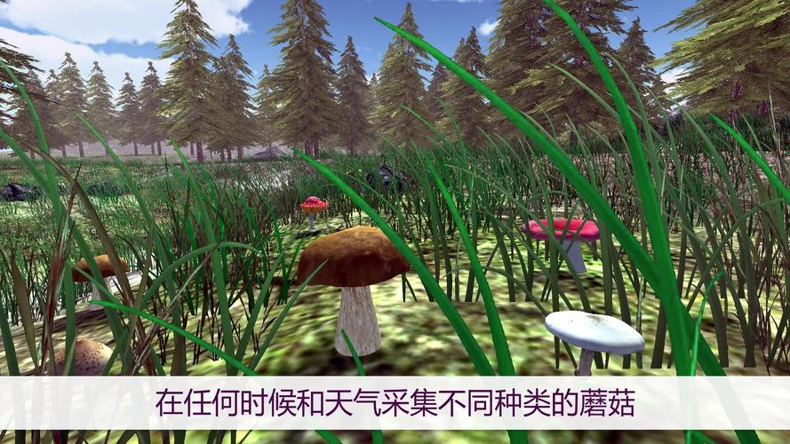 采蘑菇永久vip版
