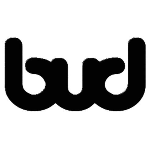 bud官方正版免费阅读