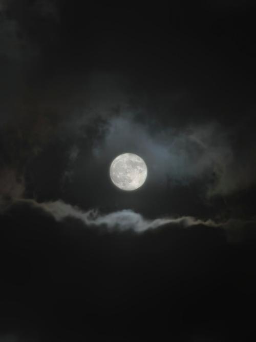 夜月正版下载