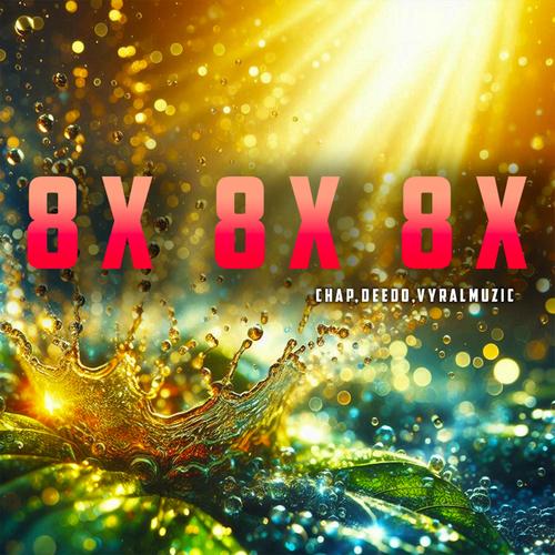 8x8x无收费