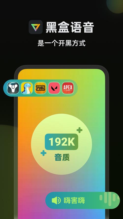 黑盒语音官网版下载