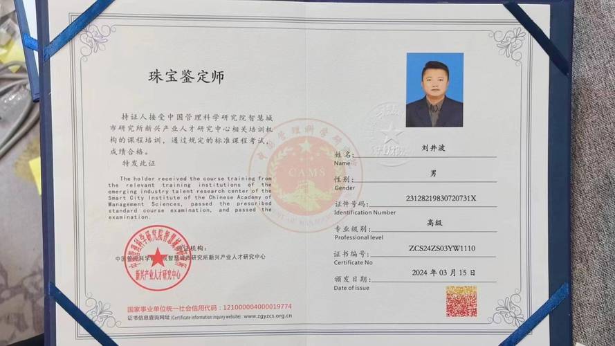 鉴定师无限版