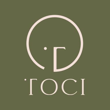 togoo最新版