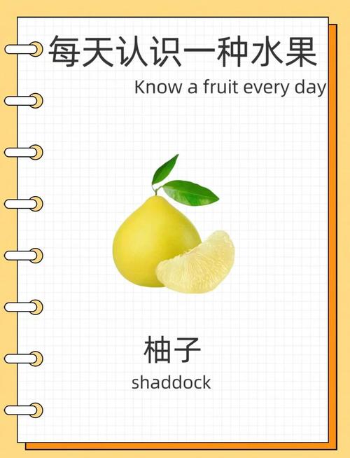 柚子免排队
