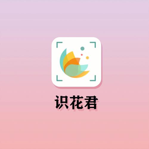 识花君免费下载金手指版
