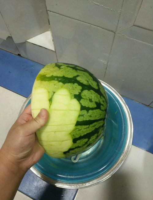 西瓜皮下载