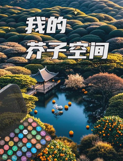 芥子空间官方正无限能量