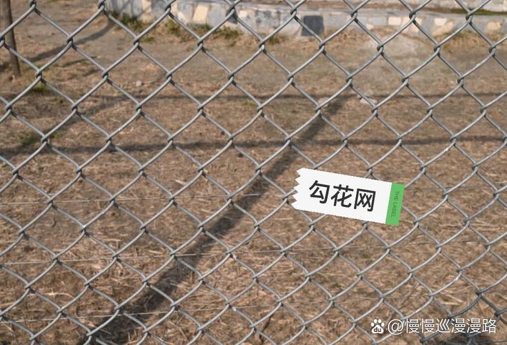 落花网