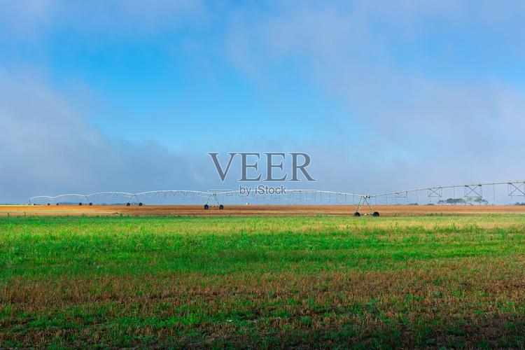 veer官方免付费版