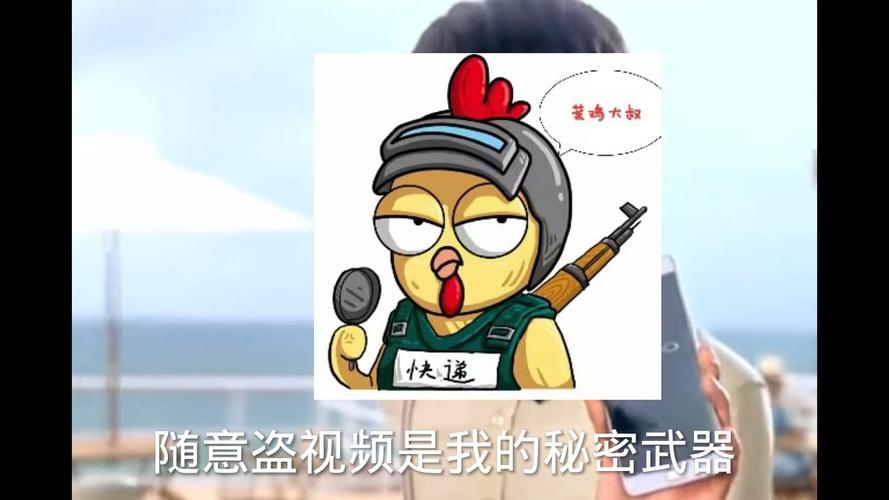 菜鸡