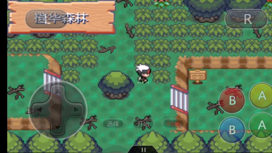 究极绿宝石5·