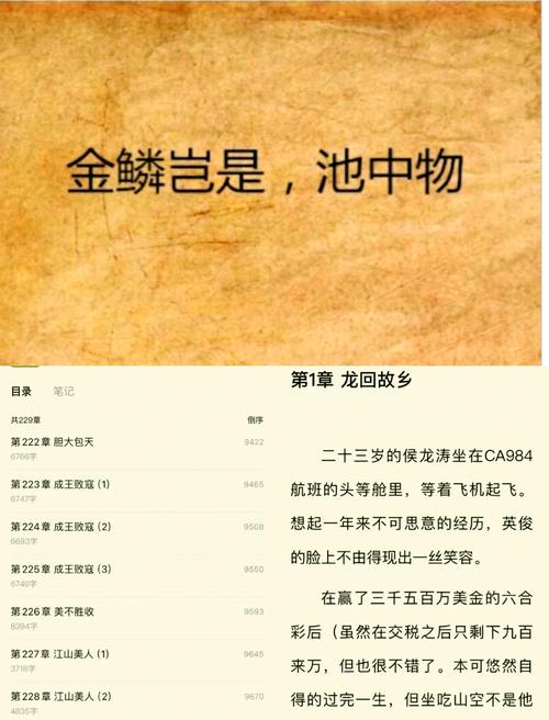 金麟岂是池中物txt