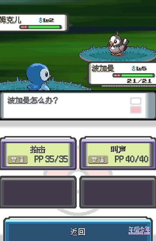 神奇宝贝无限钻