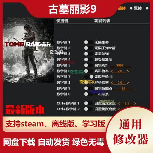 古墓丽影9修改可提版